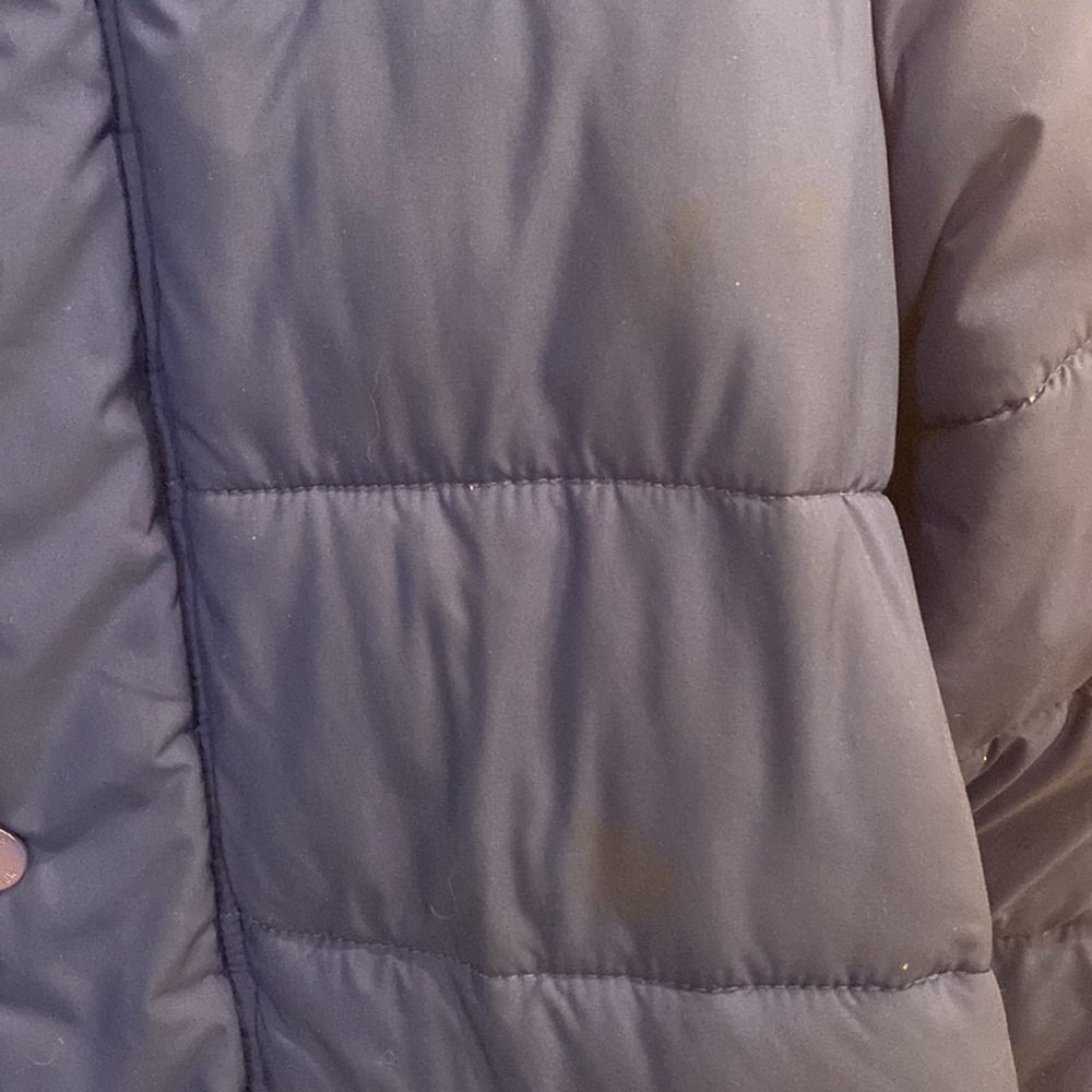 Men’s Royal Blue Hollister Puffy Winter Coat - Picture 4 of 5